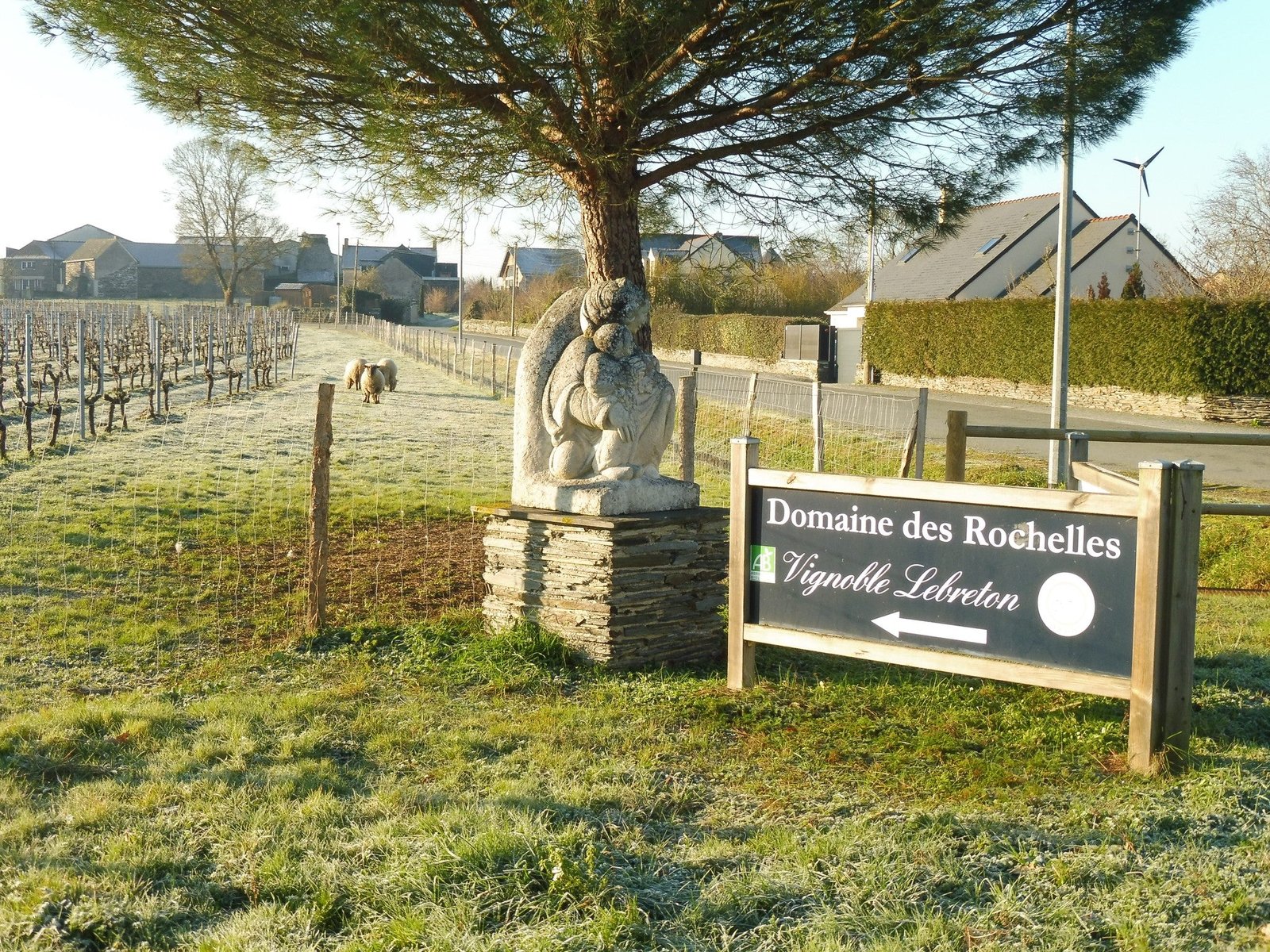 vignobles d'anjou